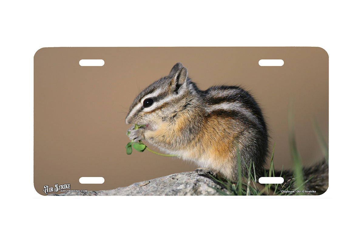 "Chipmunk" - Decorative License Plate