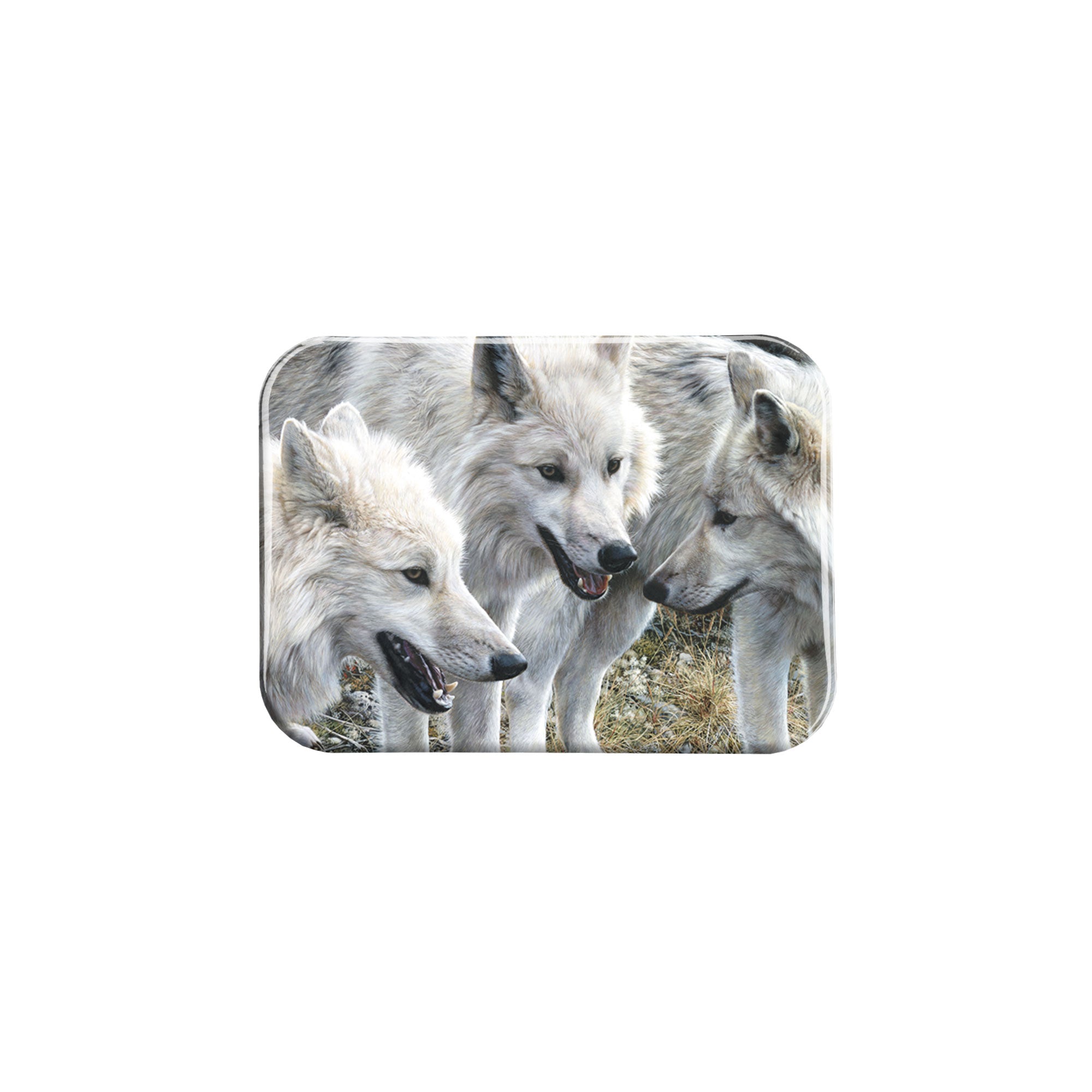 "Tundra Summit" - 2.5" X 3.5" Rectangle Fridge Magnets