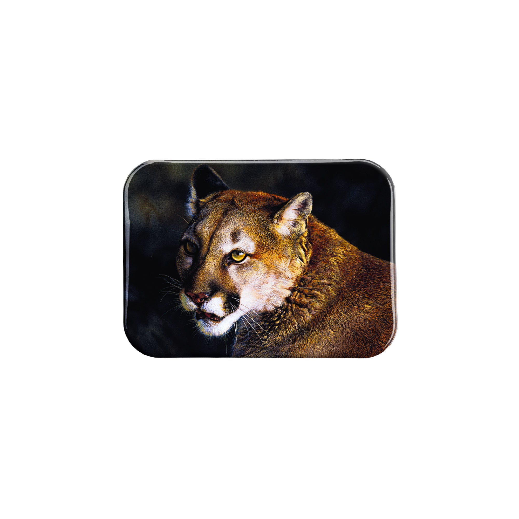 "Close Up Cougar" - 2.5" X 3.5" Rectangle Fridge Magnets