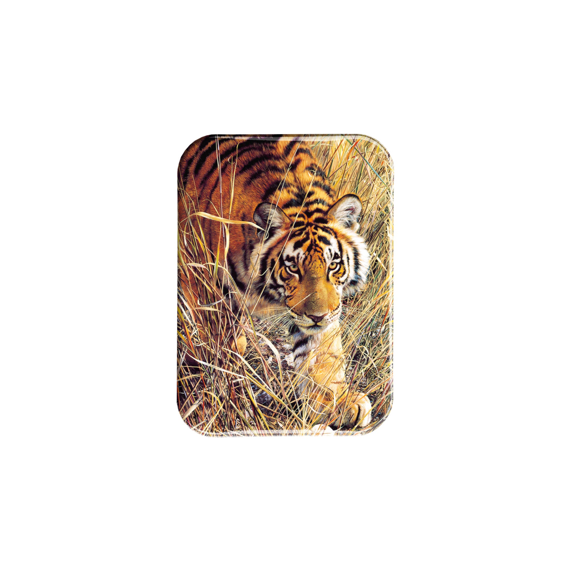 "Tall Grass Tiger" - 2.5" X 3.5" Rectangle Fridge Magnets