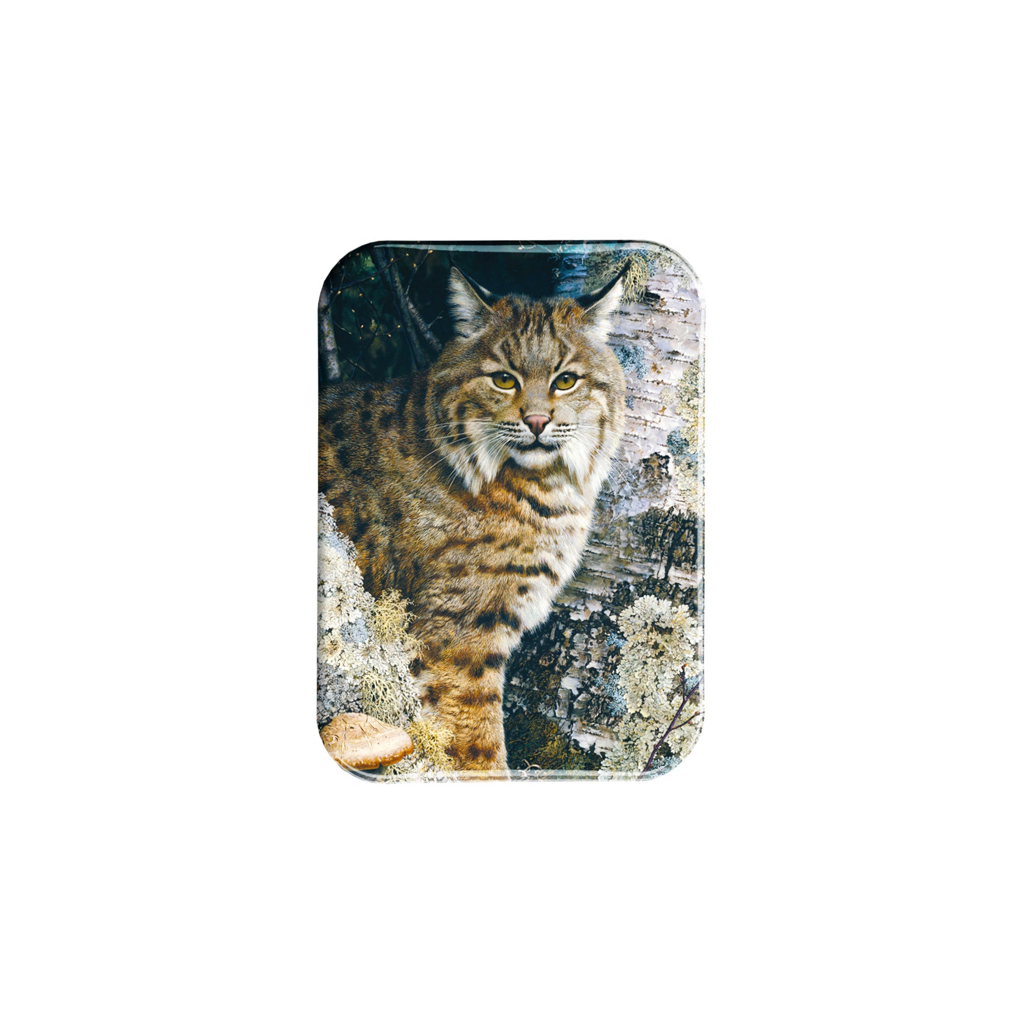 "Forest Sentinel" - 2.5" X 3.5" Rectangle Fridge Magnets