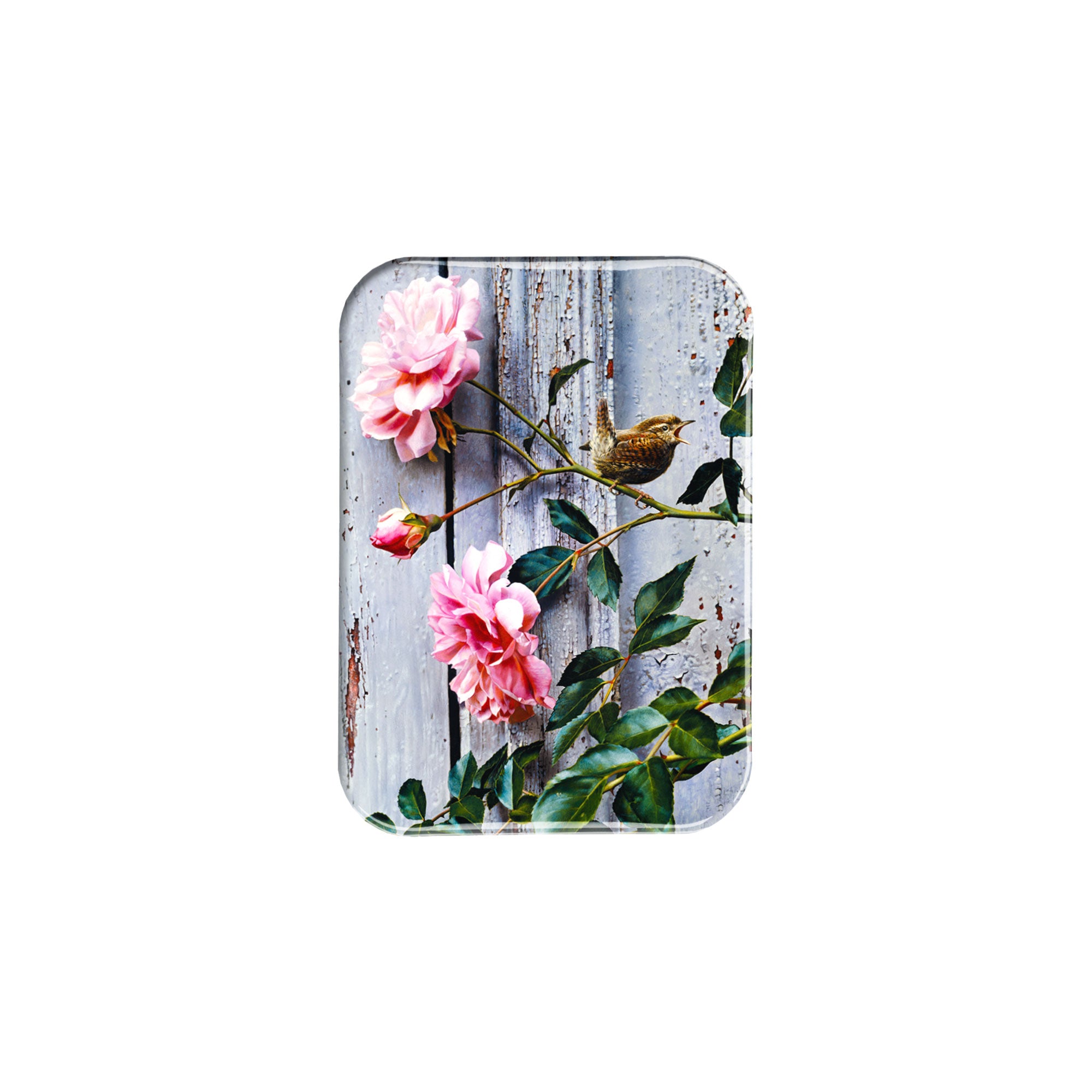 "Summer Roses" - 2.5" X 3.5" Rectangle Fridge Magnets