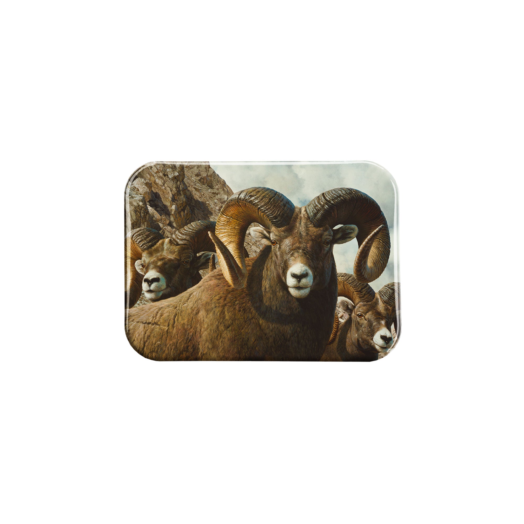 "Rocky Kingdom" - 2.5" X 3.5" Rectangle Fridge Magnets