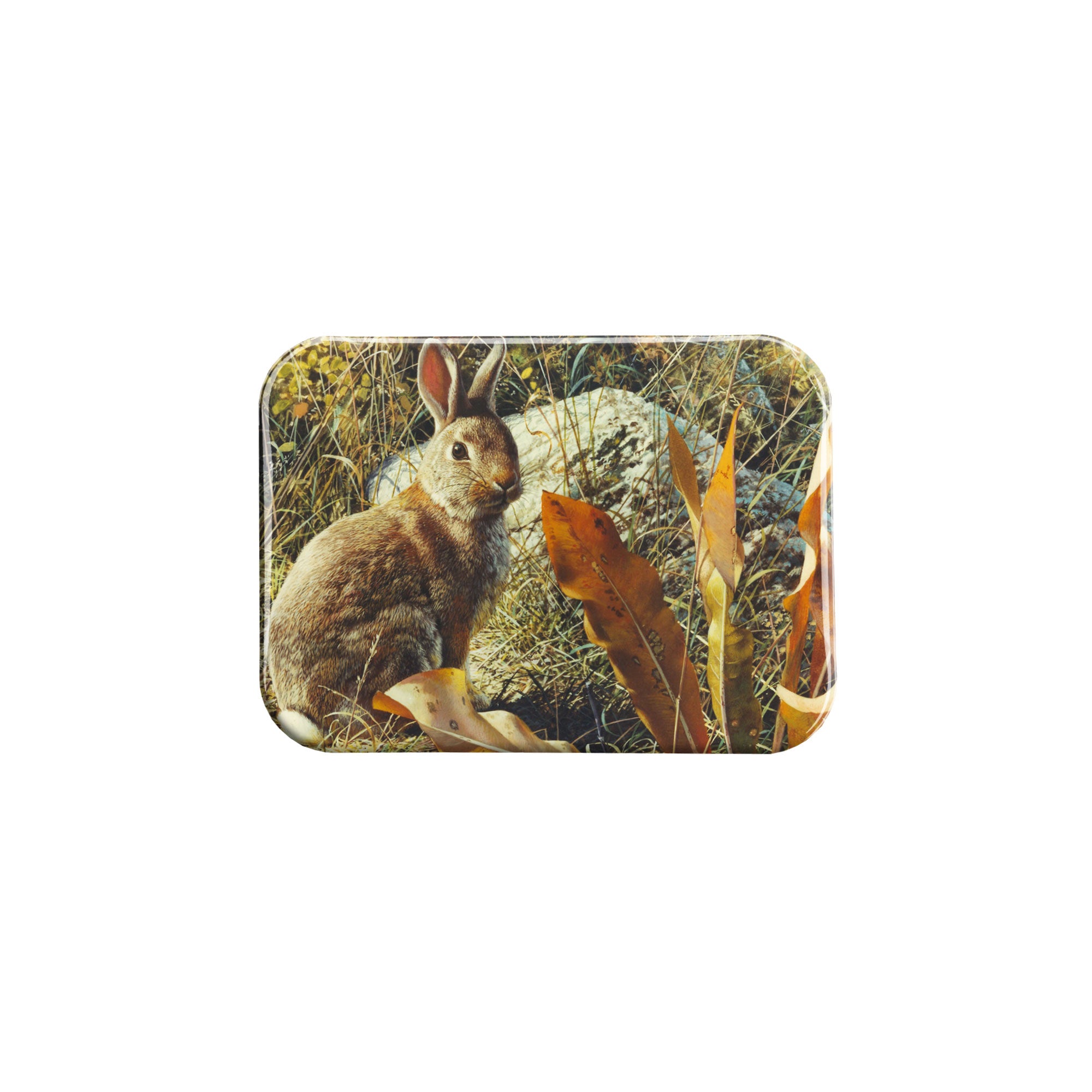 "Mountain Rabbit" - 2.5" X 3.5" Rectangle Fridge Magnets