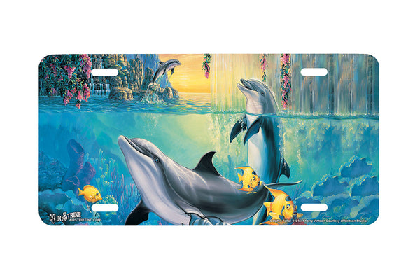 Dolphin Falls - Decorative License Plate