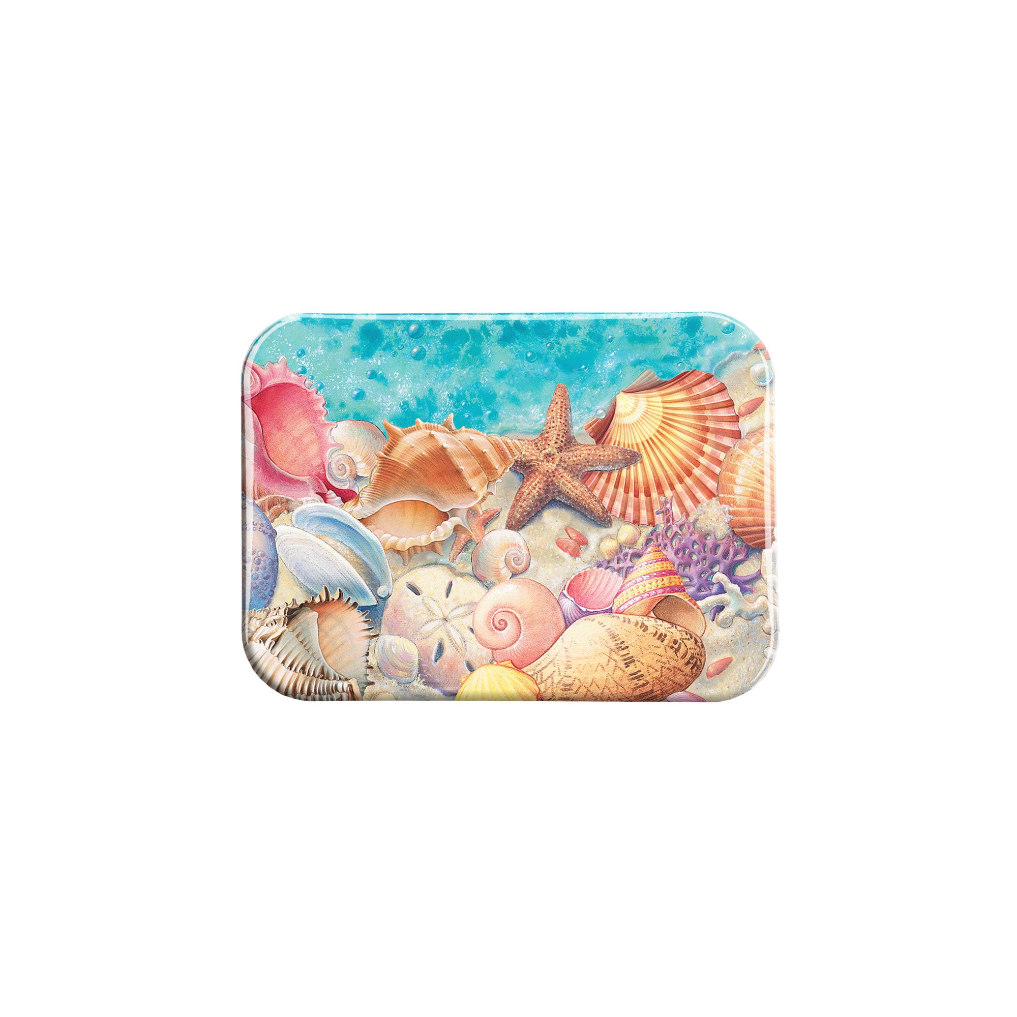 "Shells" - 2.5" X 3.5" Rectangle Fridge Magnets