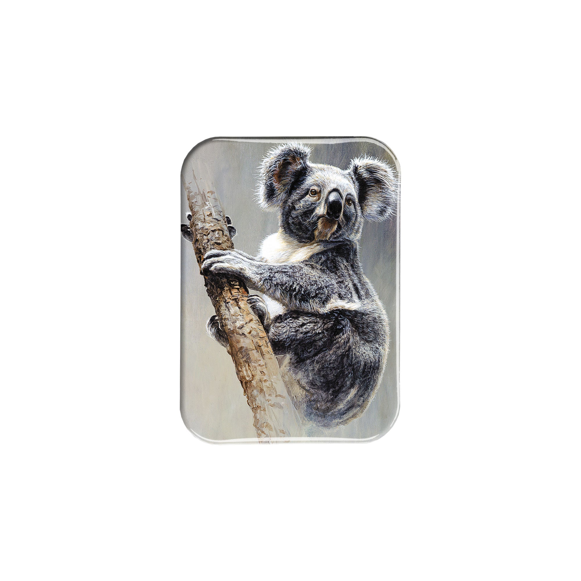 "Koala" - 2.5" X 3.5" Rectangle Fridge Magnets