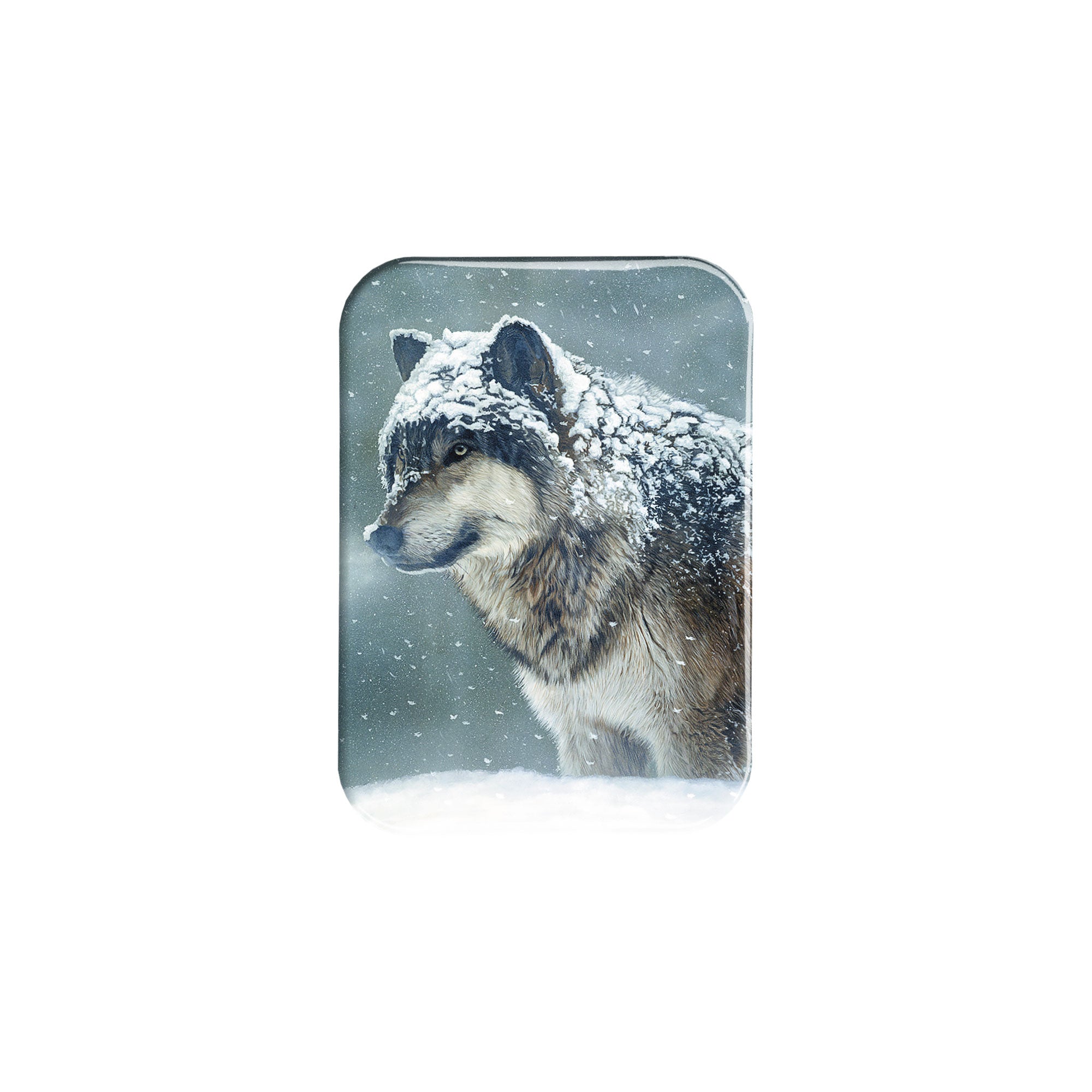 "Winter Coat" - 2.5" X 3.5" Rectangle Fridge Magnets