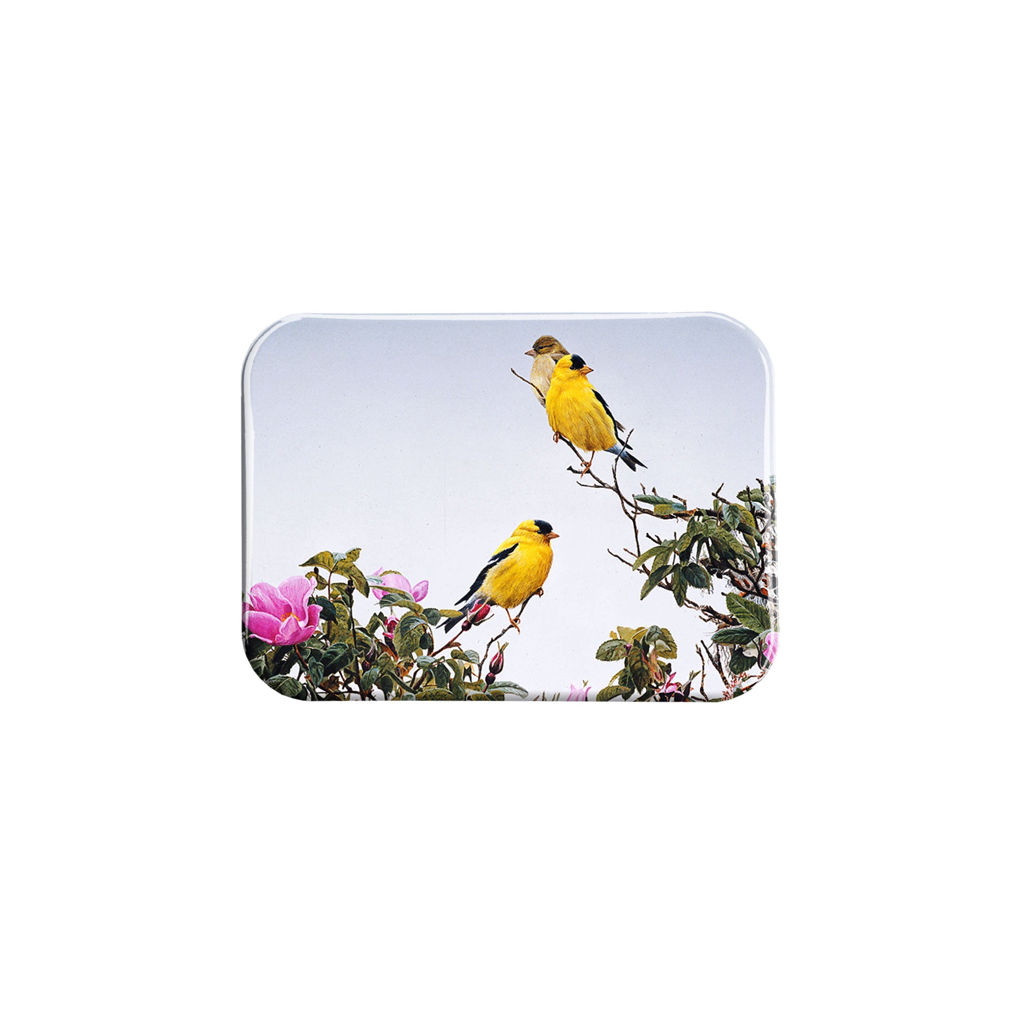 "Gold on the Rose" - 2.5" X 3.5" Rectangle Fridge Magnets