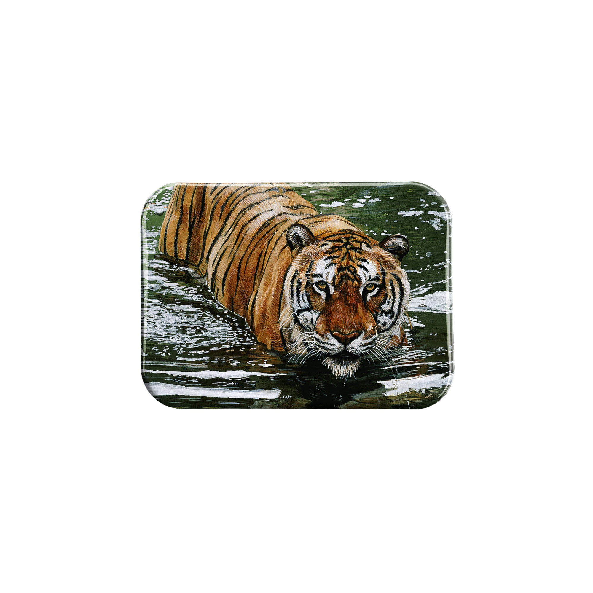 "Tiger in Water" - 2.5" X 3.5" Rectangle Fridge Magnets