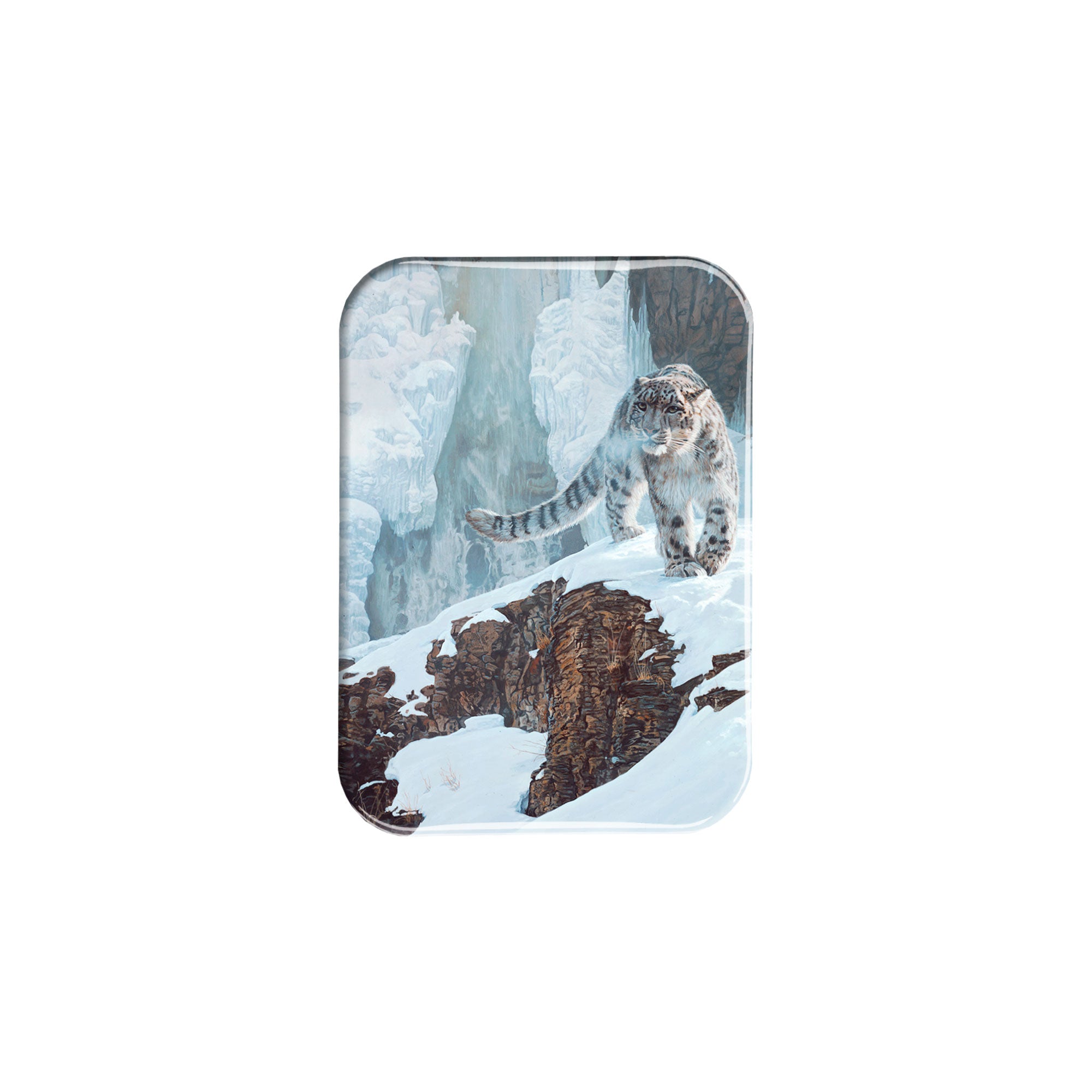 "Out of the Ice and Snow" - 2.5" X 3.5" Rectangle Fridge Magnets