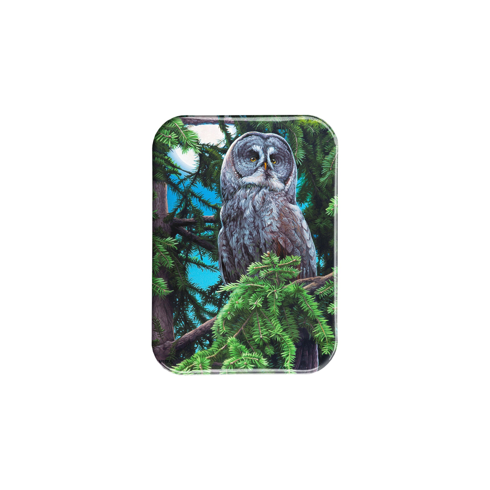 "Midnight Sentinel" - 2.5" X 3.5" Rectangle Fridge Magnets