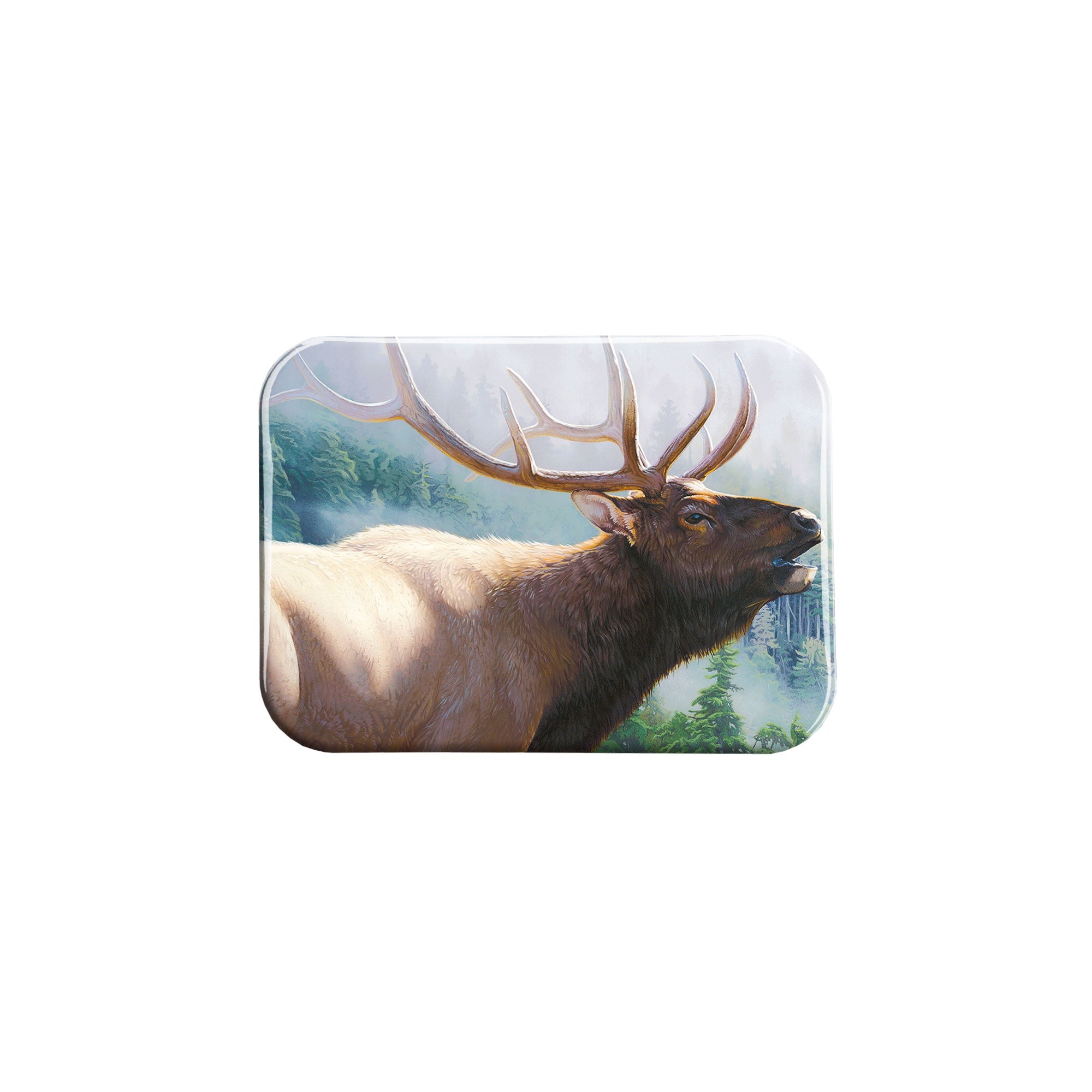 "Misty Mountain Challenge" - 2.5" X 3.5" Rectangle Fridge Magnets