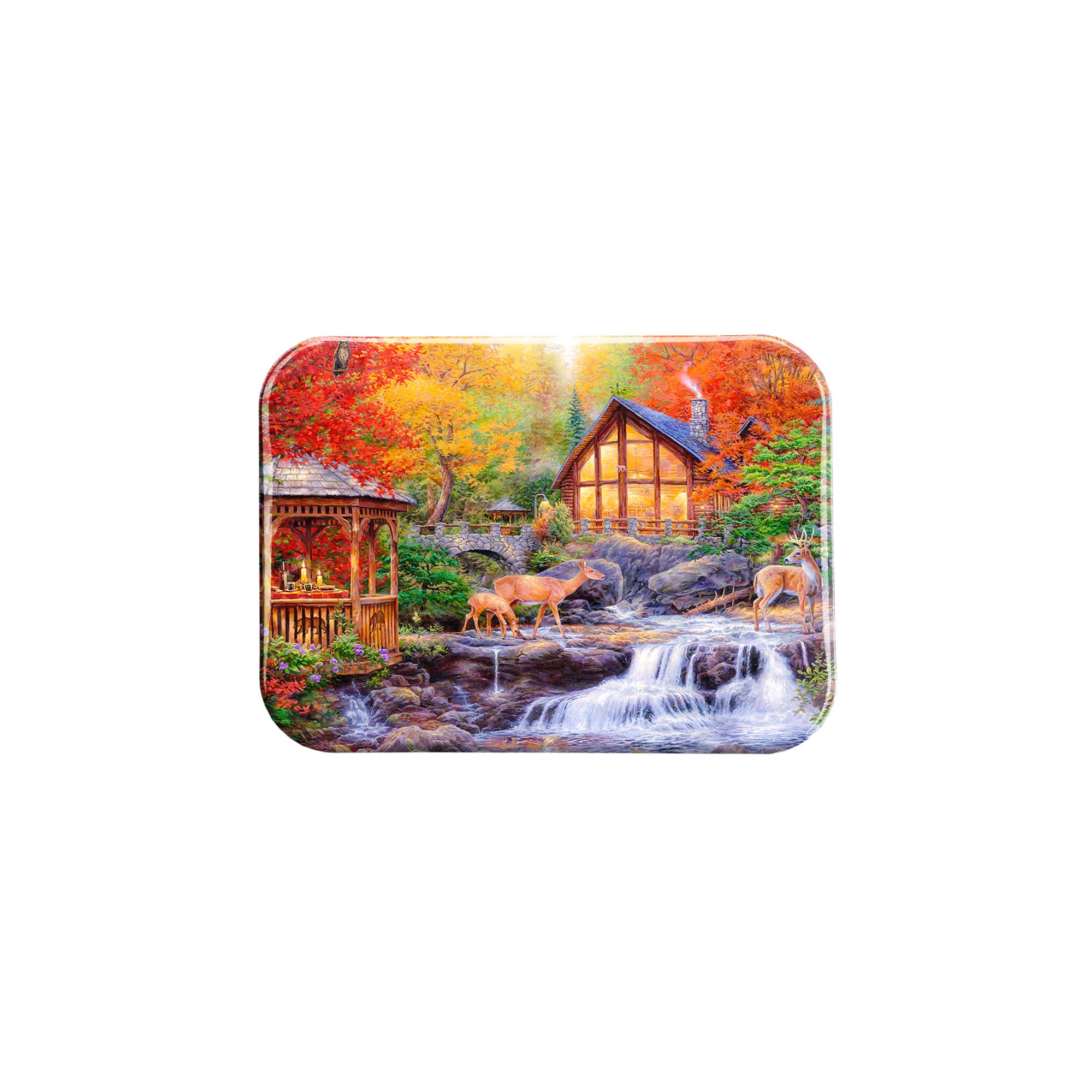 "The Colors Of Life" - 2.5" X 3.5" Rectangle Fridge Magnets