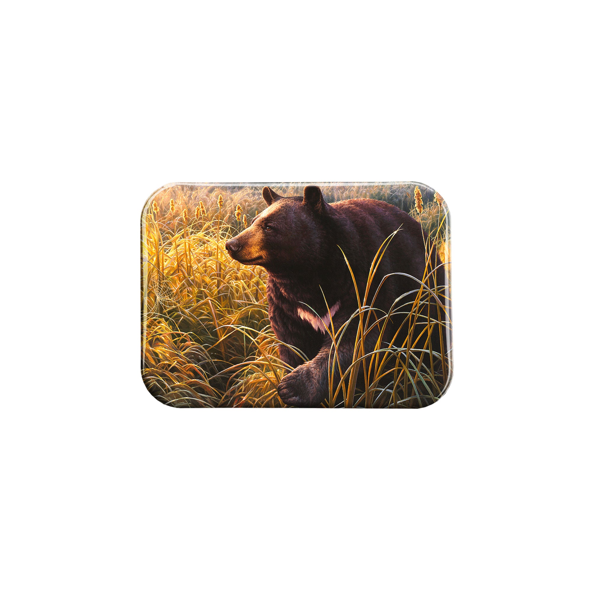 "Bear" - 2.5" X 3.5" Rectangle Fridge Magnets