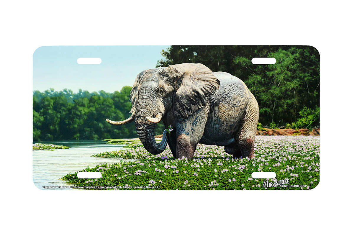 "Elephant in Eden"- Decorative License Plate