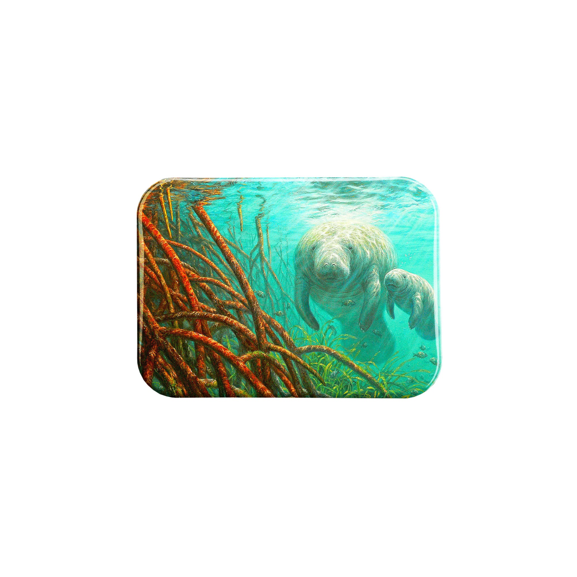 "Mangrove Morning" - 2.5" X 3.5" Rectangle Fridge Magnets