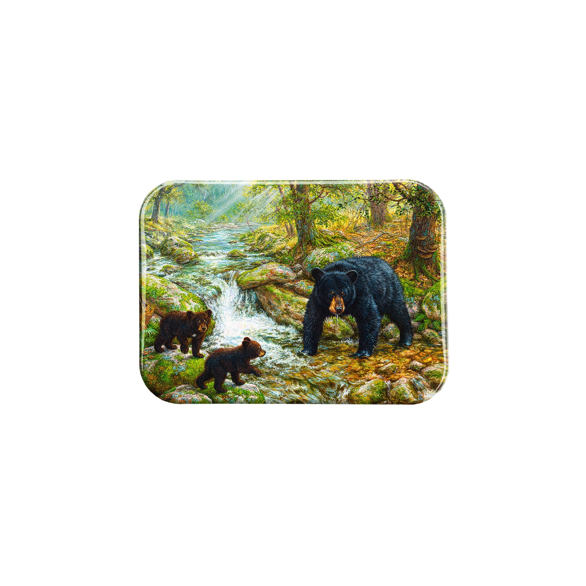 "Summers Picnic" - 2.5" X 3.5" Rectangle Fridge Magnets