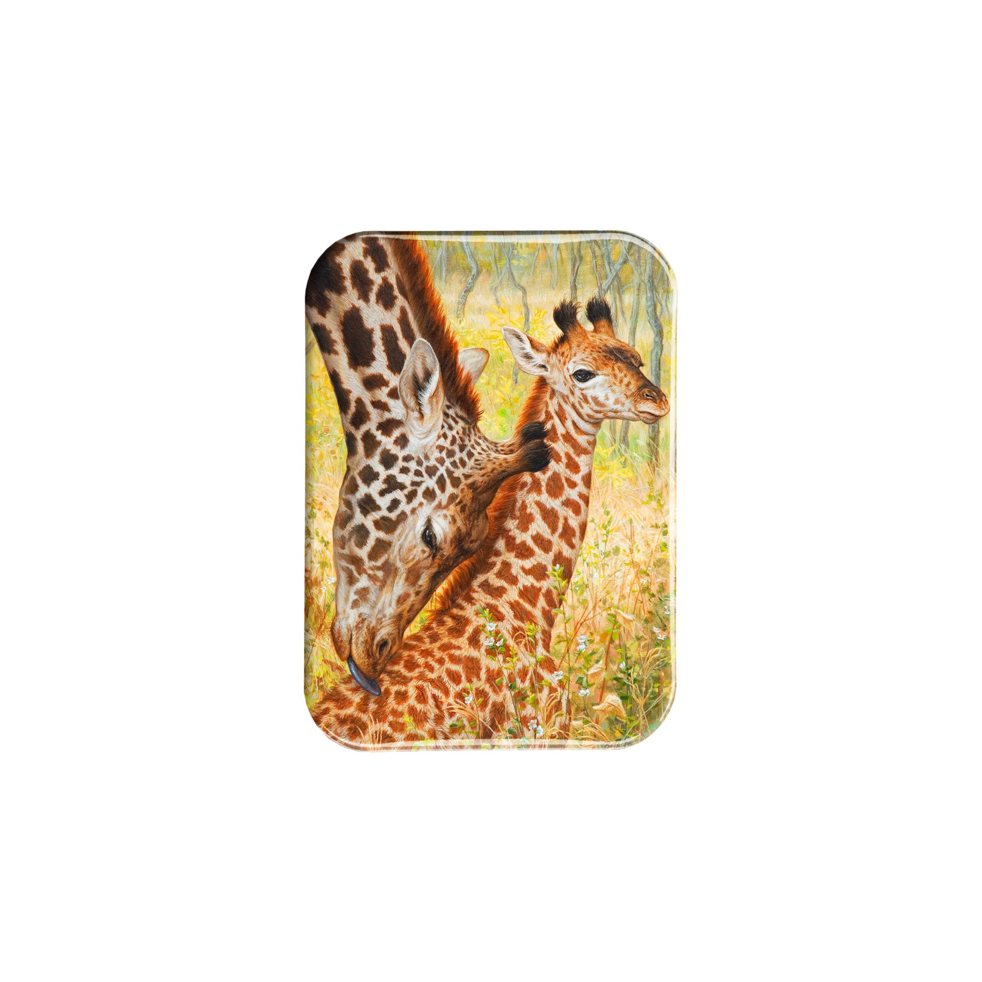 "Tender Love" - 2.5" X 3.5" Rectangle Fridge Magnets