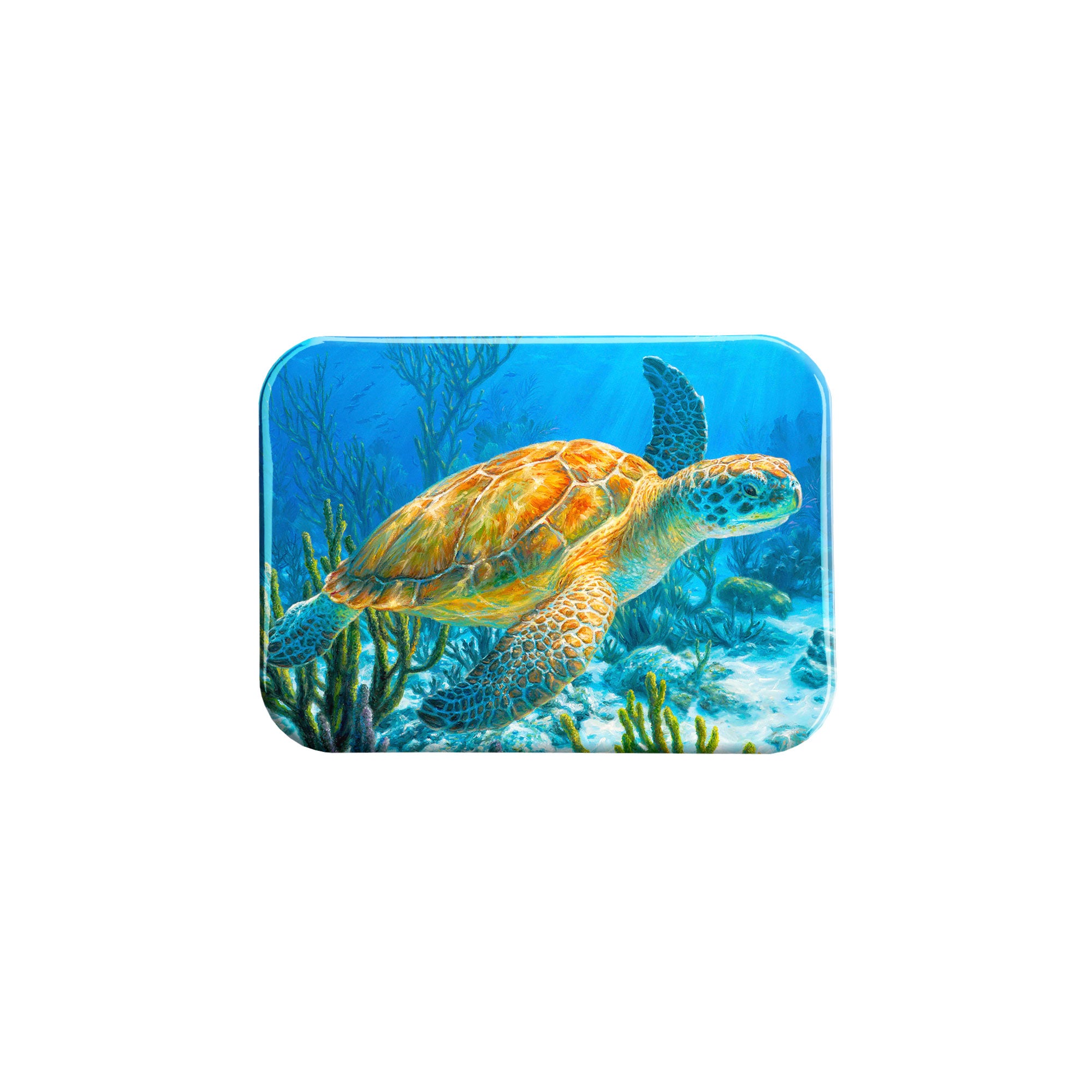 "Ancient Mariner" - 2.5" X 3.5" Rectangle Fridge Magnets