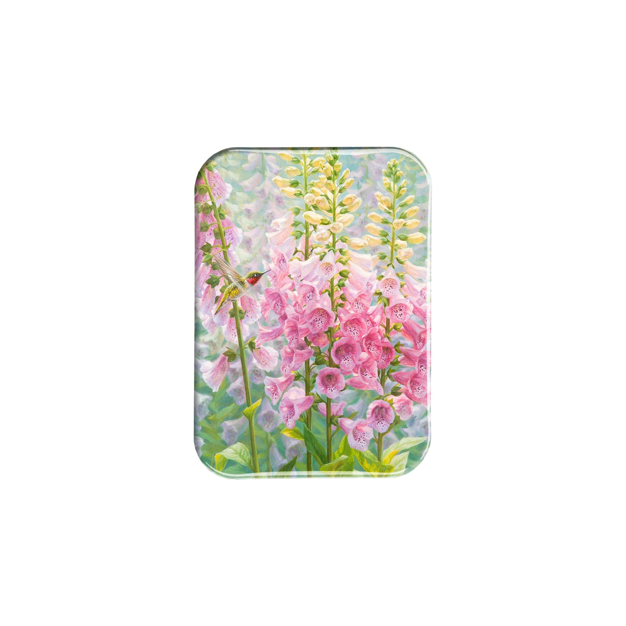 "Summer Delight" - 2.5" X 3.5" Rectangle Fridge Magnets