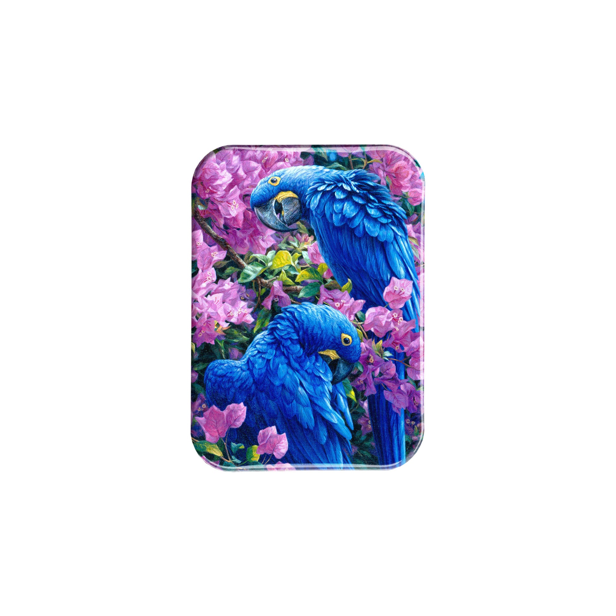 "Tropical Fiesta" - 2.5" X 3.5" Rectangle Fridge Magnets