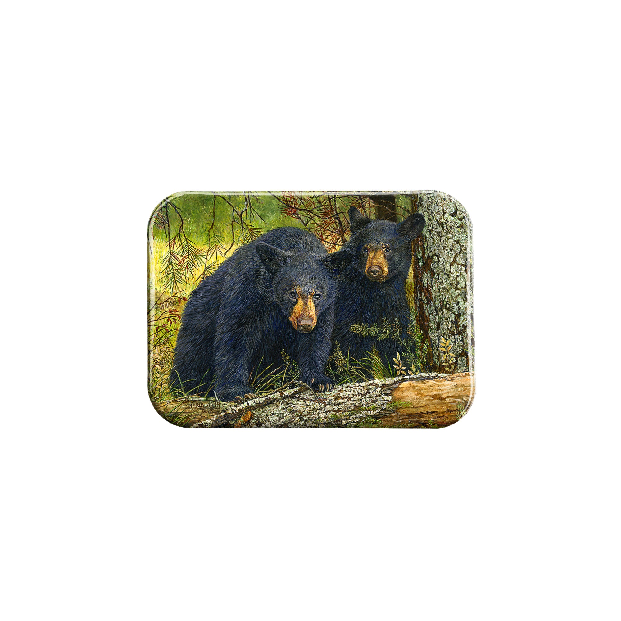 "Momma Bear Is Watching" - 2.5" X 3.5" Rectangle Fridge Magnets