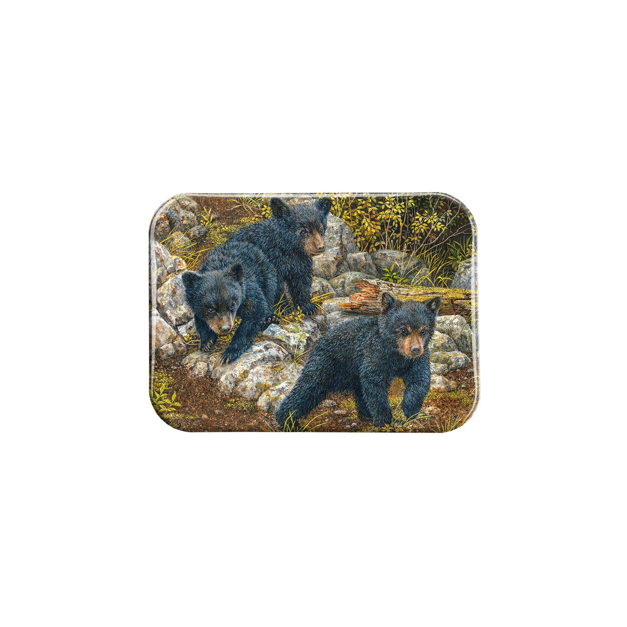 "Follow the Leader" - 2.5" X 3.5" Rectangle Fridge Magnets