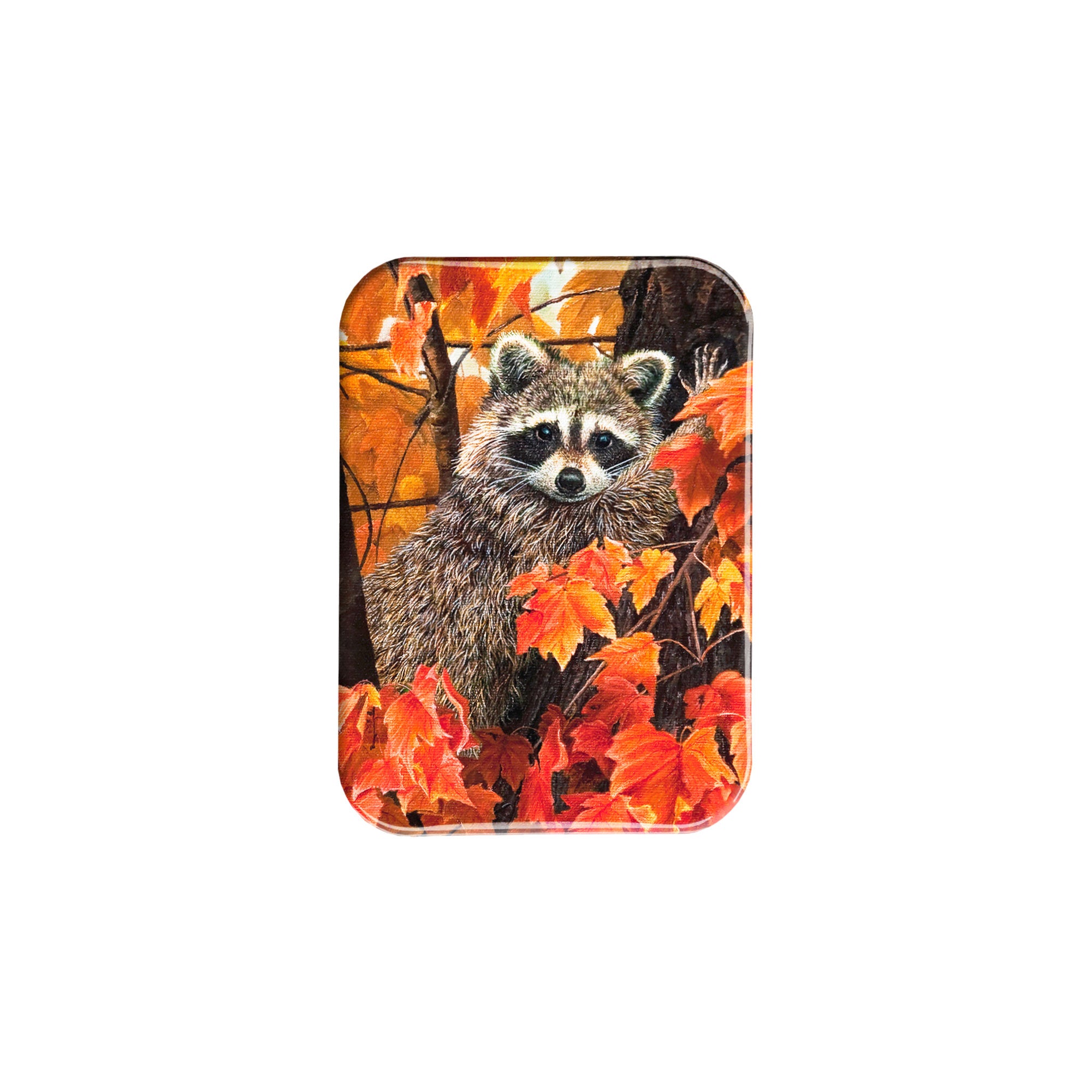 "Fall Leaves" - 2.5" X 3.5" Rectangle Fridge Magnets