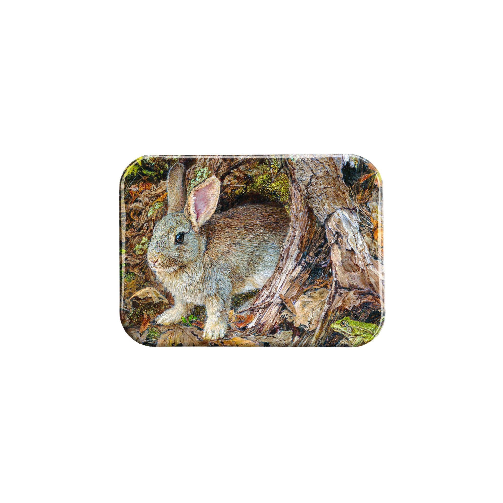 "Out of the Rabbit Hole" - 2.5" X 3.5" Rectangle Fridge Magnets