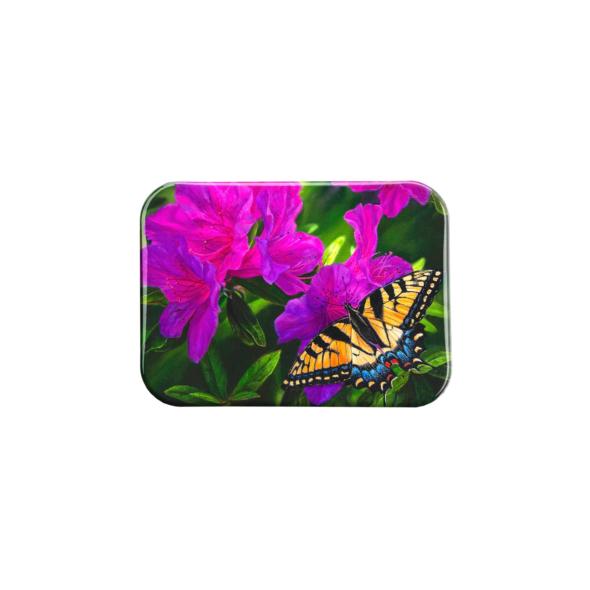 "Butterfly Delight" - 2.5" X 3.5" Rectangle Fridge Magnets