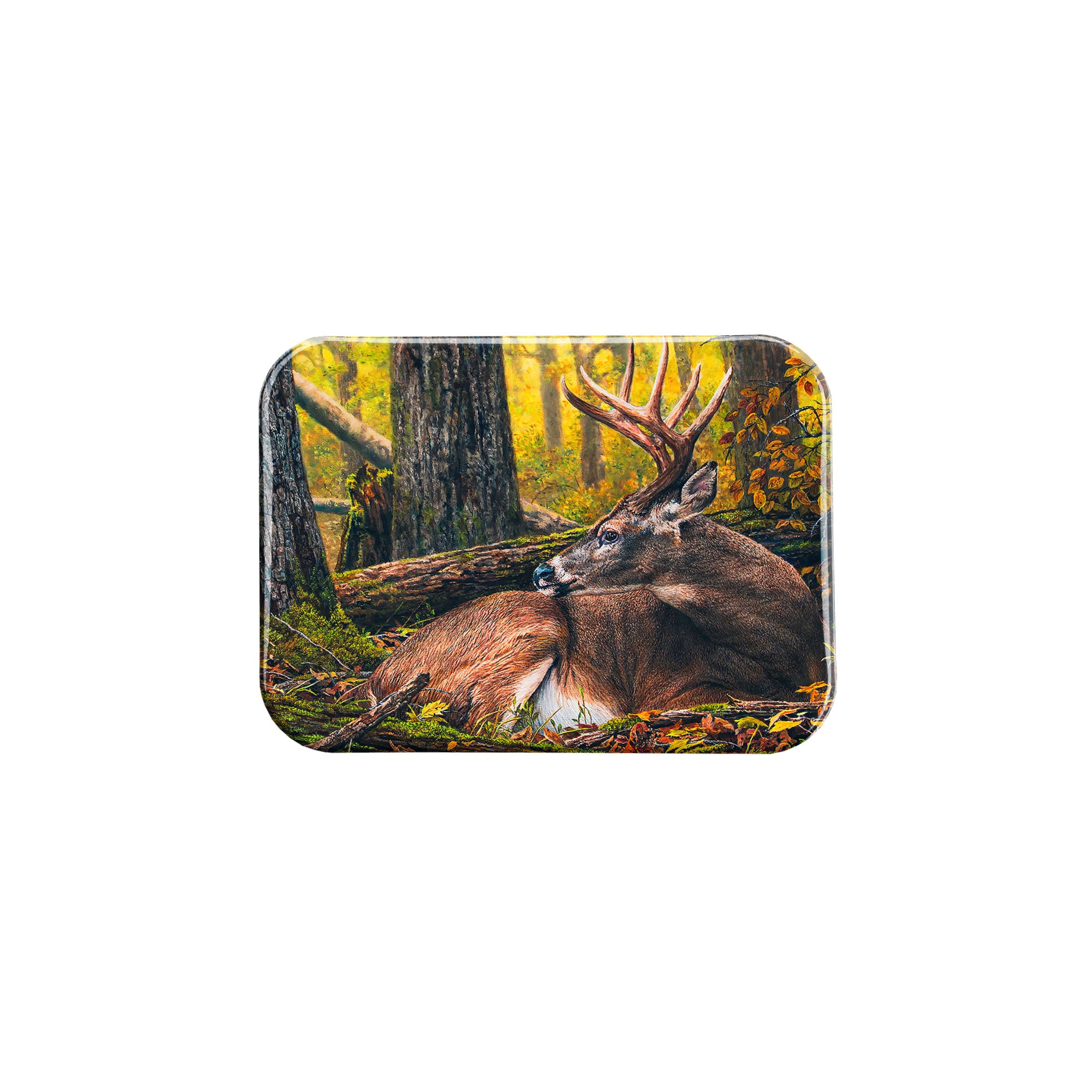 "The Forest Is Never Silent" - 2.5" X 3.5" Rectangle Fridge Magnets