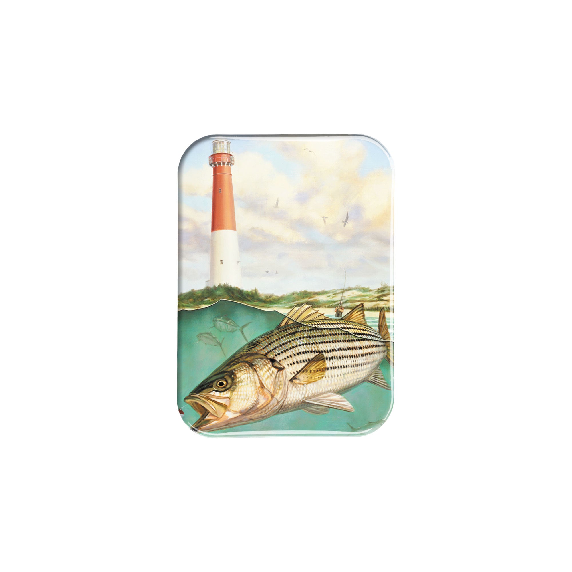 "Striper" - 2.5" X 3.5" Rectangle Fridge Magnets