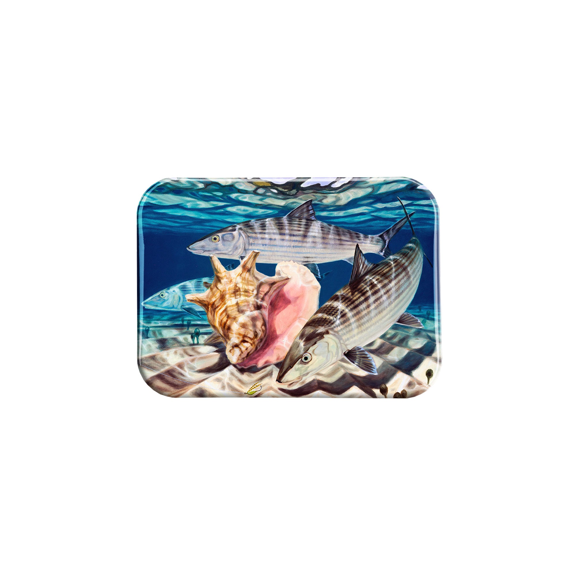 "Bones And Conch" - 2.5" X 3.5" Rectangle Fridge Magnets