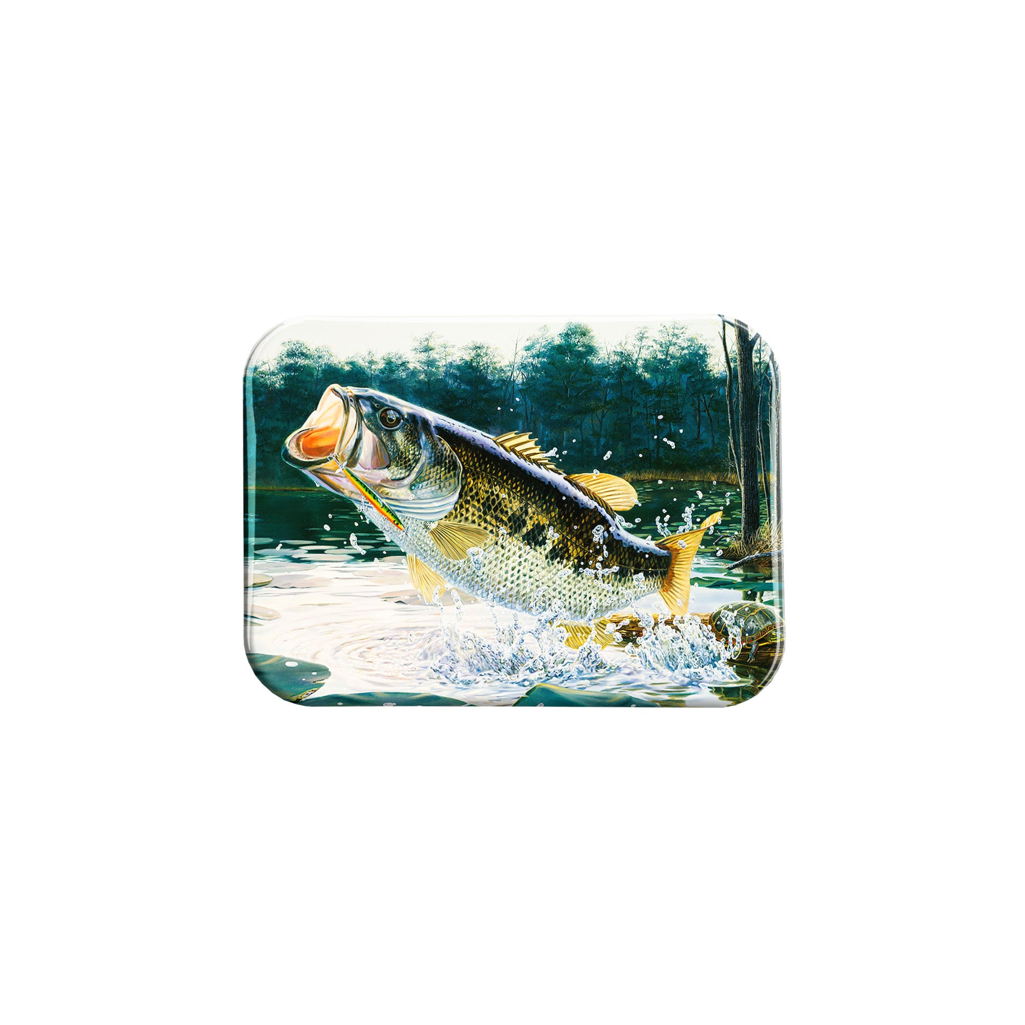 "Tailspin" - 2.5" X 3.5" Rectangle Fridge Magnets