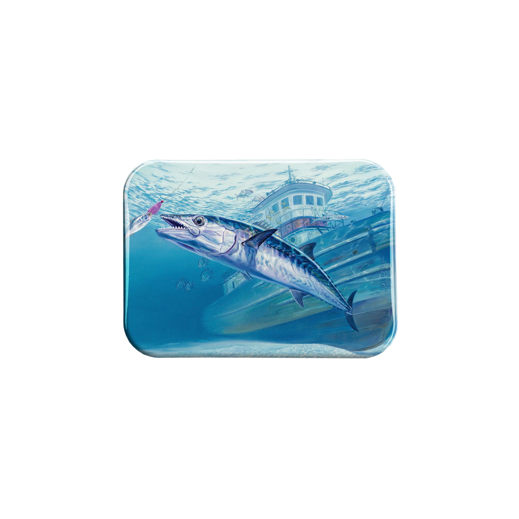 "Sunken Treasures" - 2.5" X 3.5" Rectangle Fridge Magnets