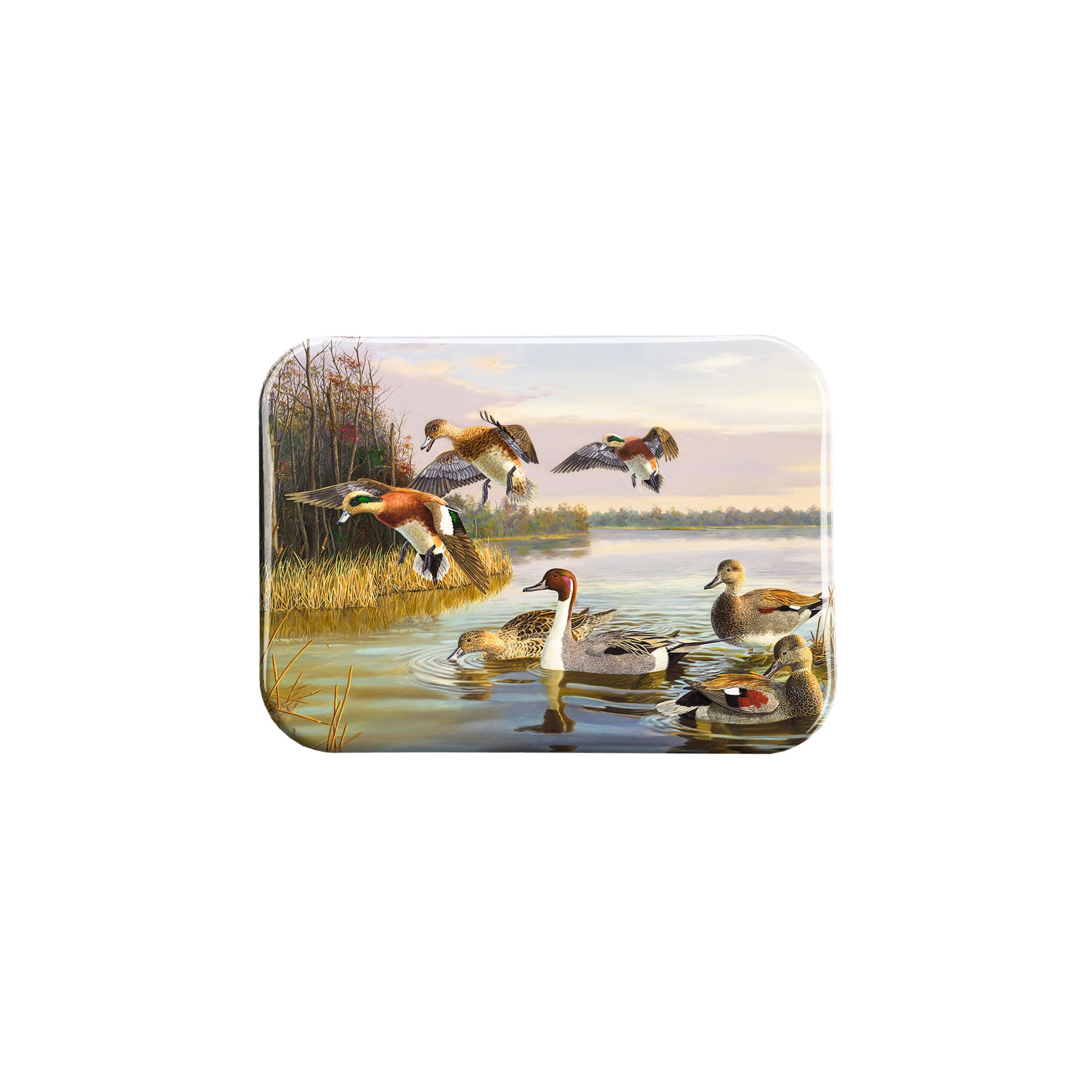 "Duck Zone" - 2.5" X 3.5" Rectangle Fridge Magnets