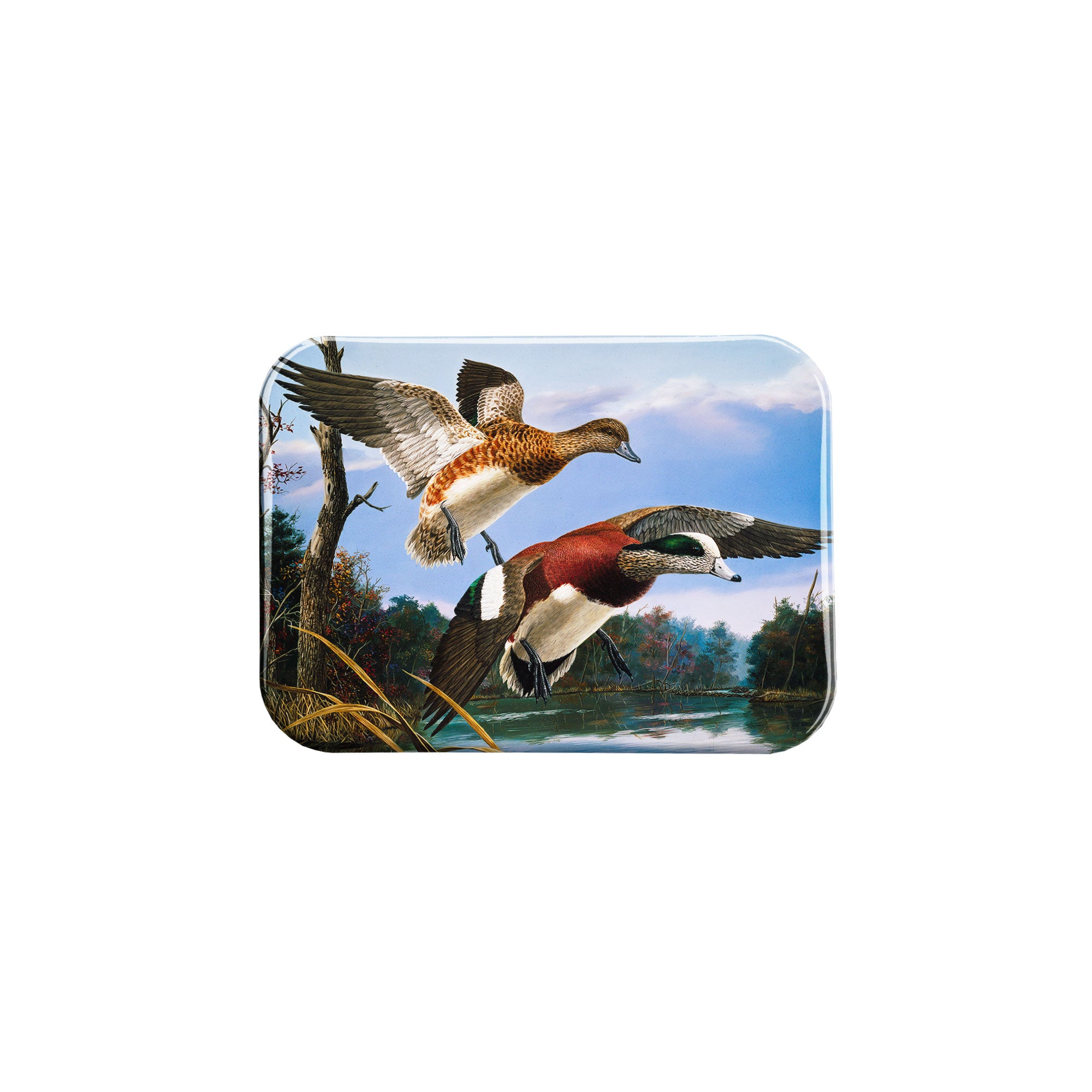 "Wind N Widgeons" - 2.5" X 3.5" Rectangle Fridge Magnets