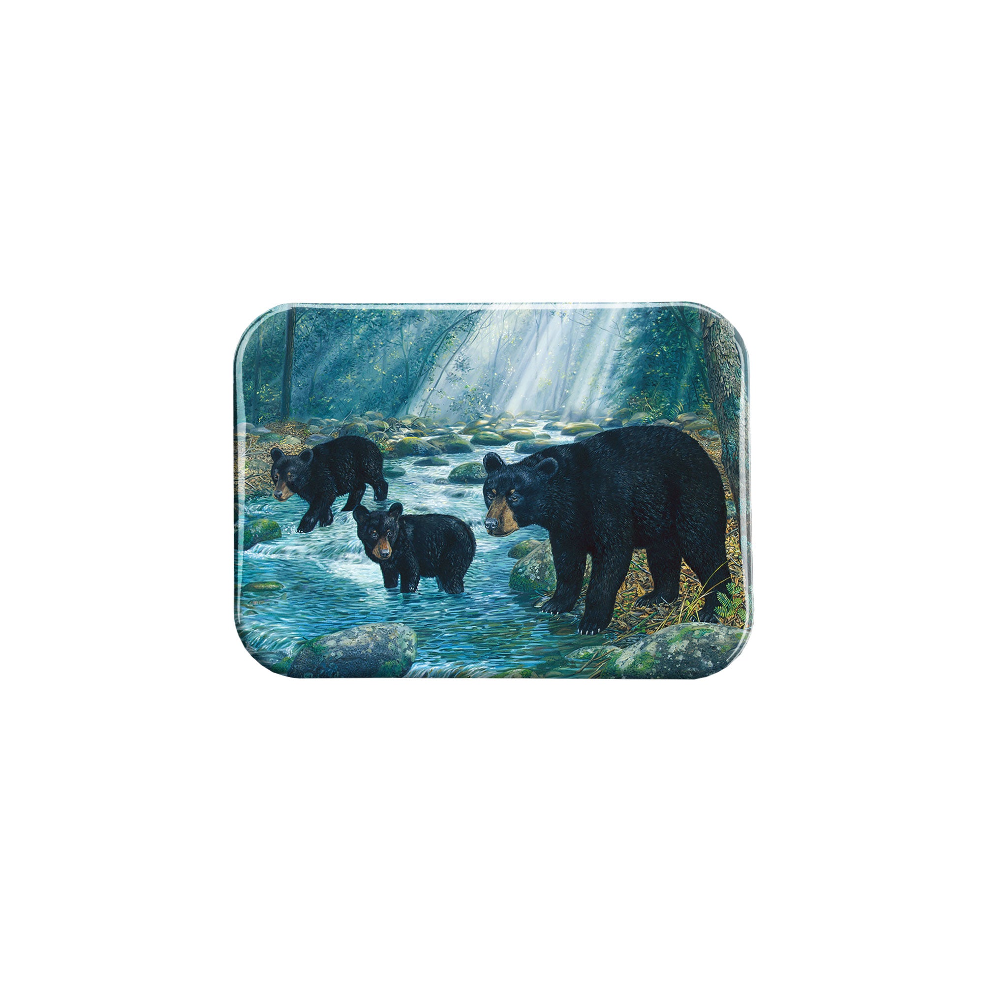 "Bear Feet In The Creek" - 2.5" X 3.5" Rectangle Fridge Magnets