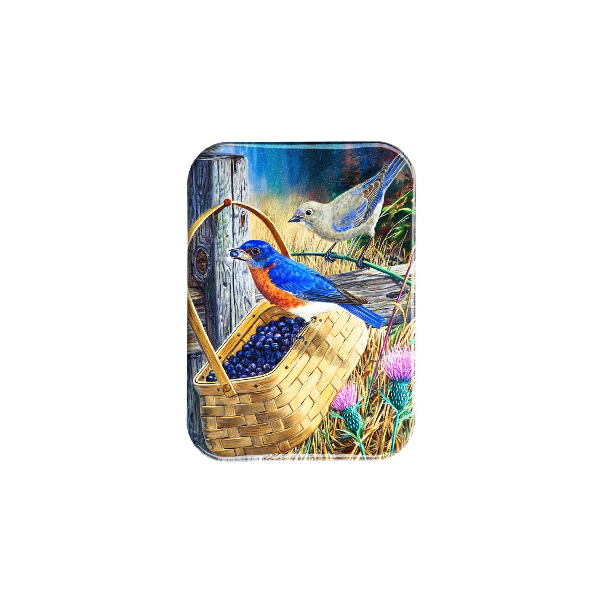 "Blue Bandits" - 2.5" X 3.5" Rectangle Fridge Magnets