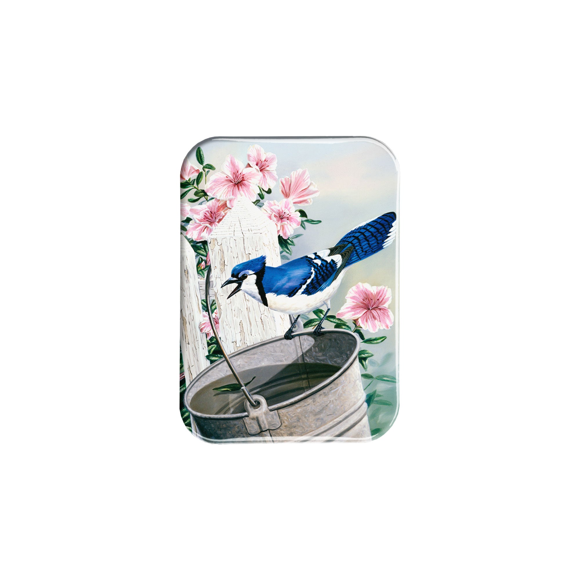 "Blue Jay And Azaleas" - 2.5" X 3.5" Rectangle Fridge Magnets