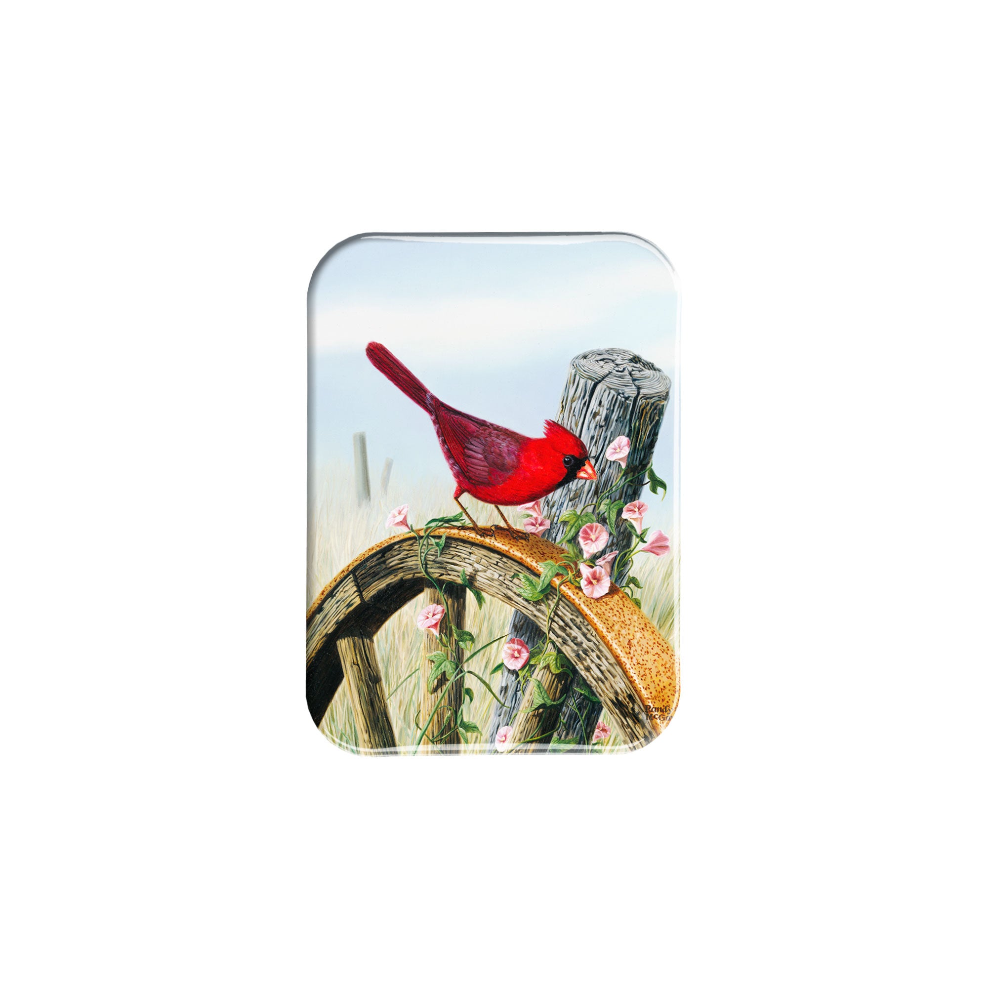 "Cardinal And Morning Glory" - 2.5" X 3.5" Rectangle Fridge Magnets