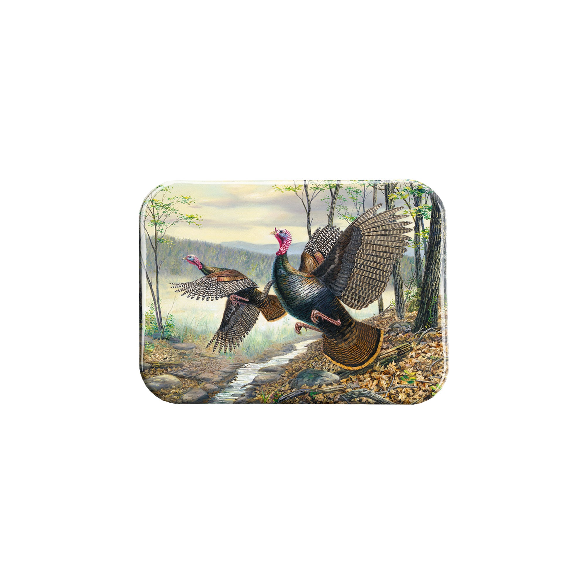 "Spring Wings" - 2.5" X 3.5" Rectangle Fridge Magnets