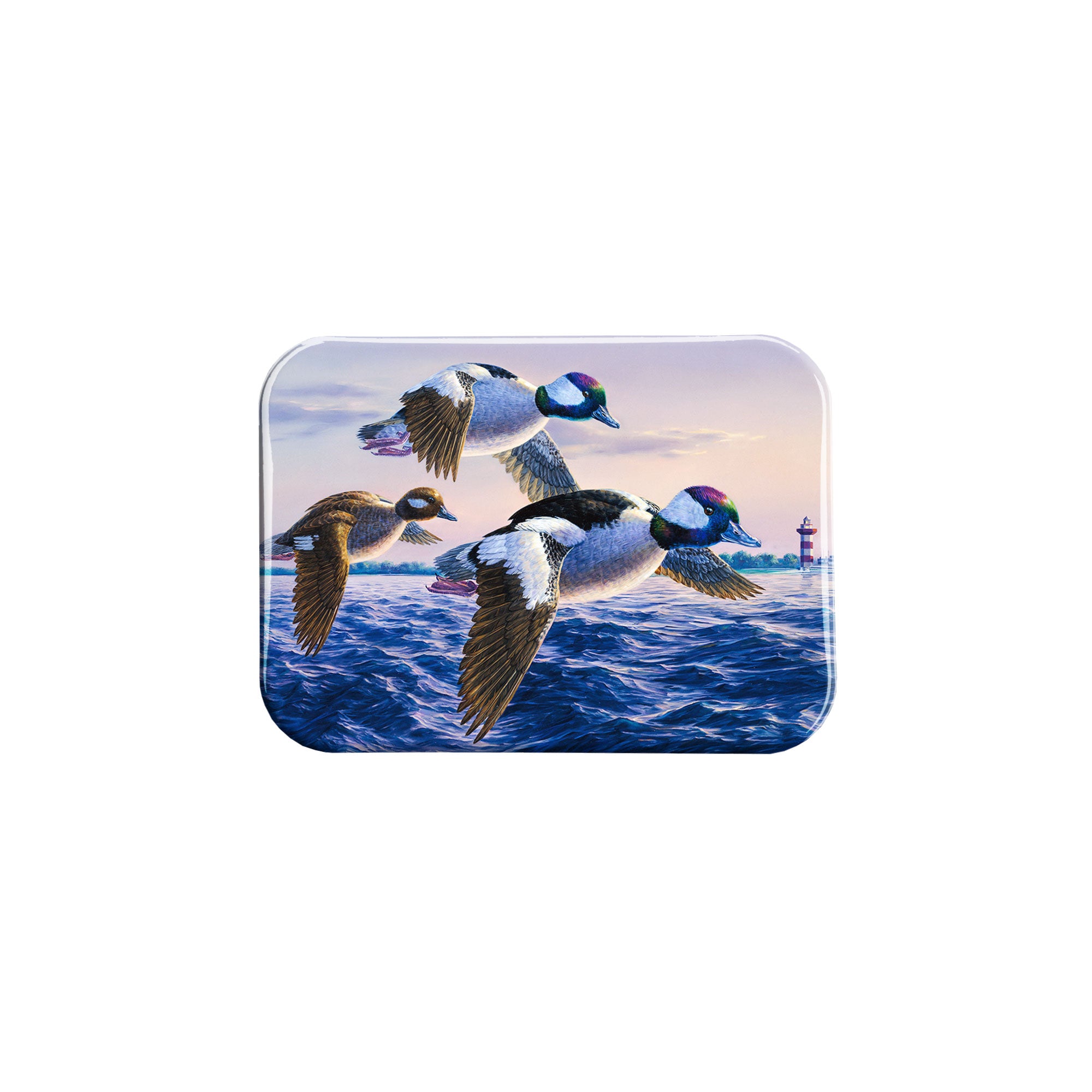 "Buffleheads" - 2.5" X 3.5" Rectangle Fridge Magnets