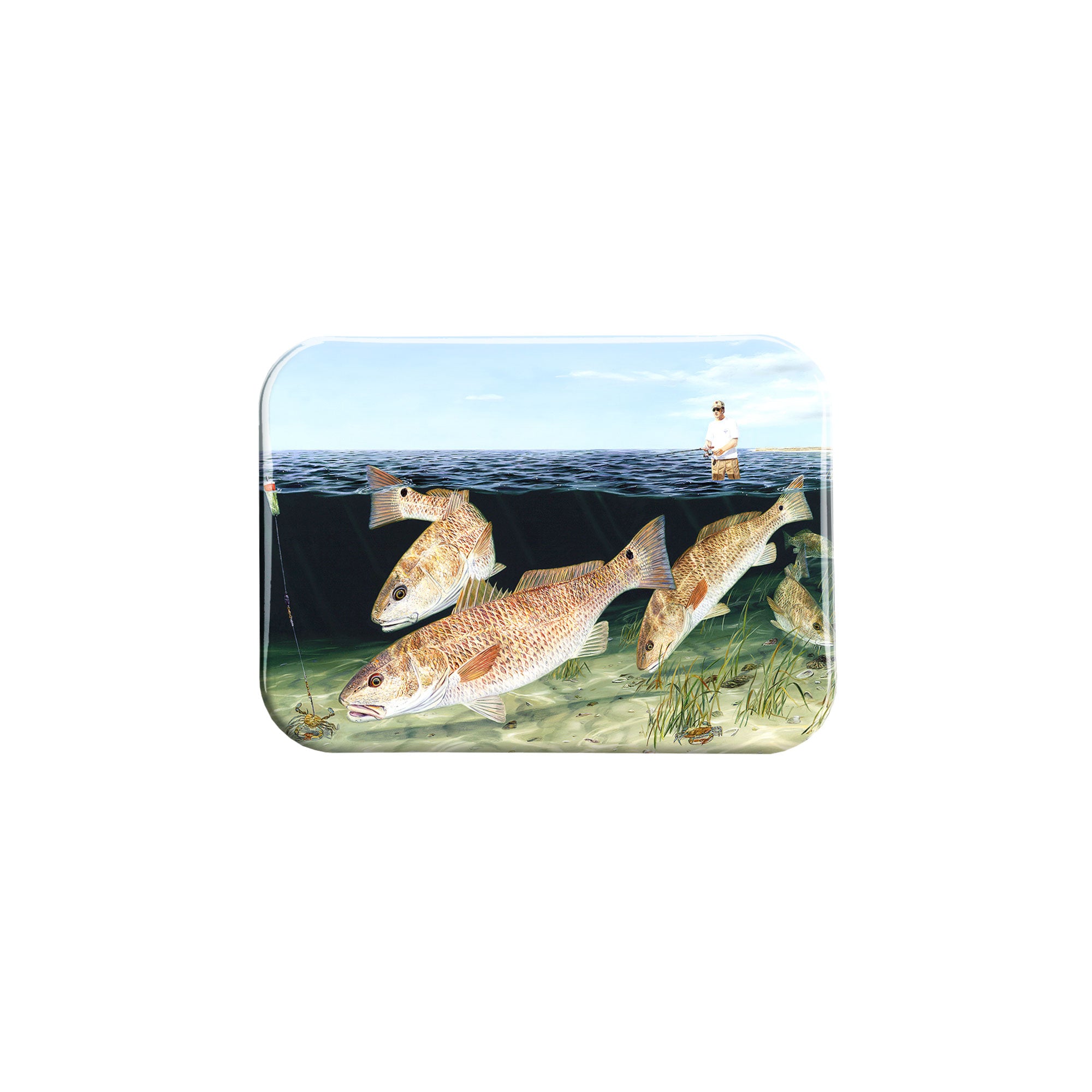 "Crab Crazy" - 2.5" X 3.5" Rectangle Fridge Magnets