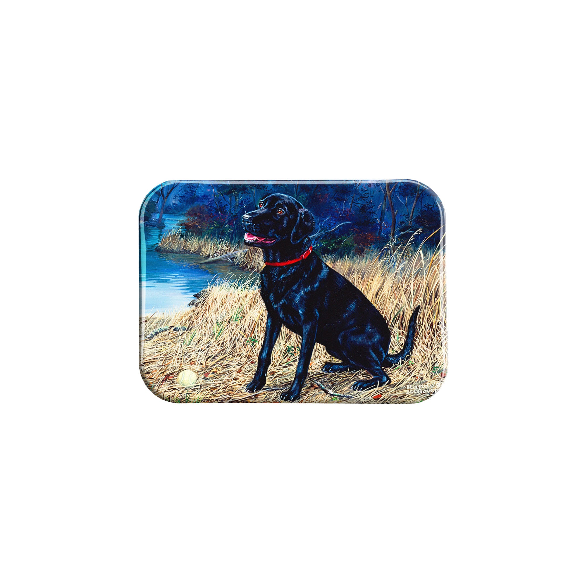 "Throw The Ball" - 2.5" X 3.5" Rectangle Fridge Magnets