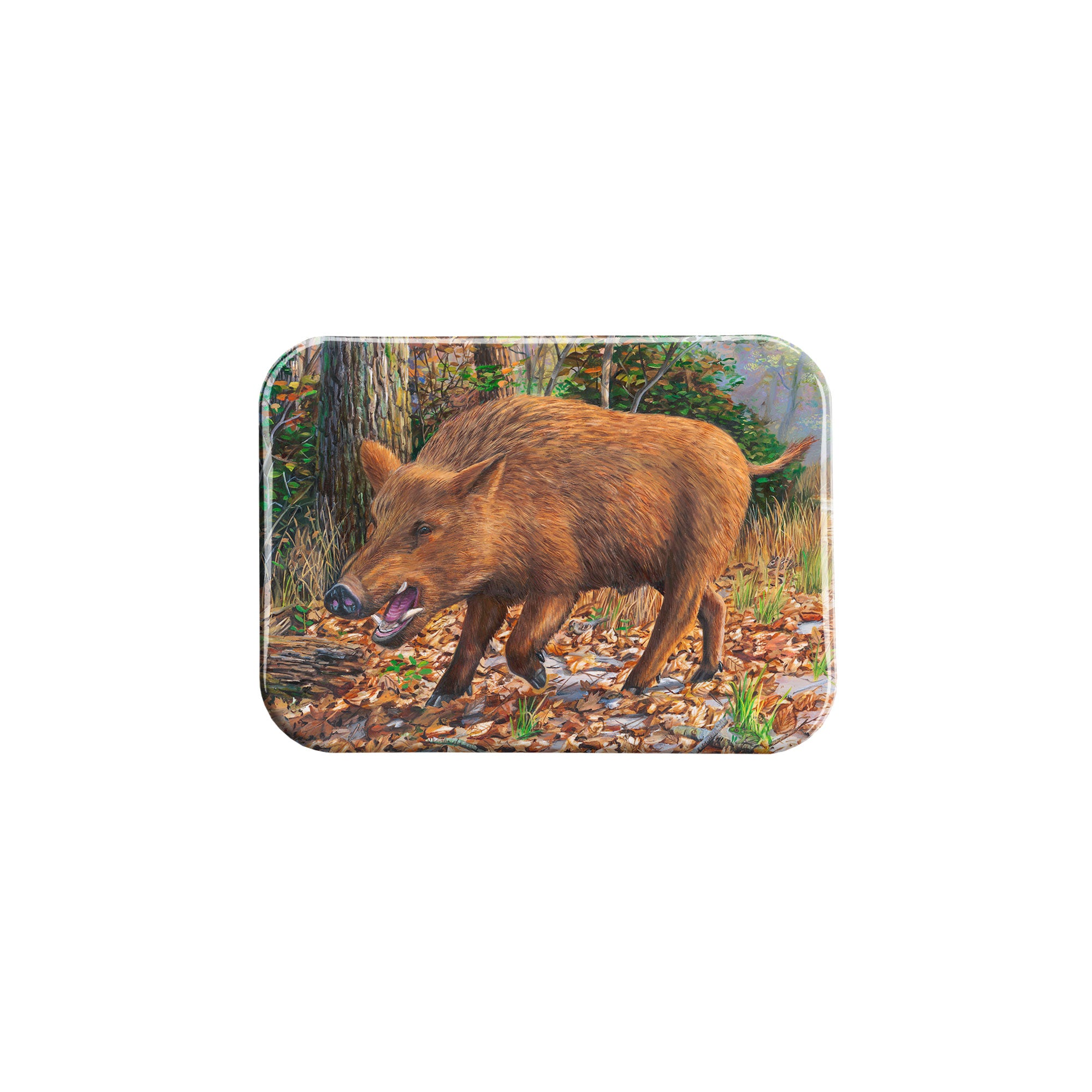 "Boar" - 2.5" X 3.5" Rectangle Fridge Magnets