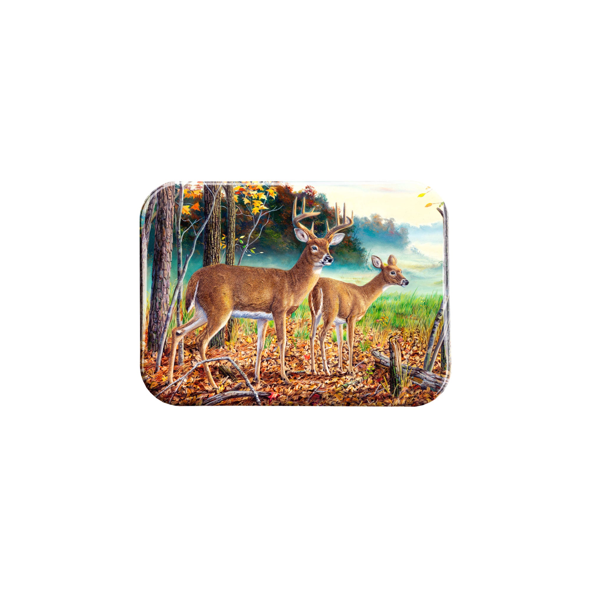 "Venturing Out" - 2.5" X 3.5" Rectangle Fridge Magnets