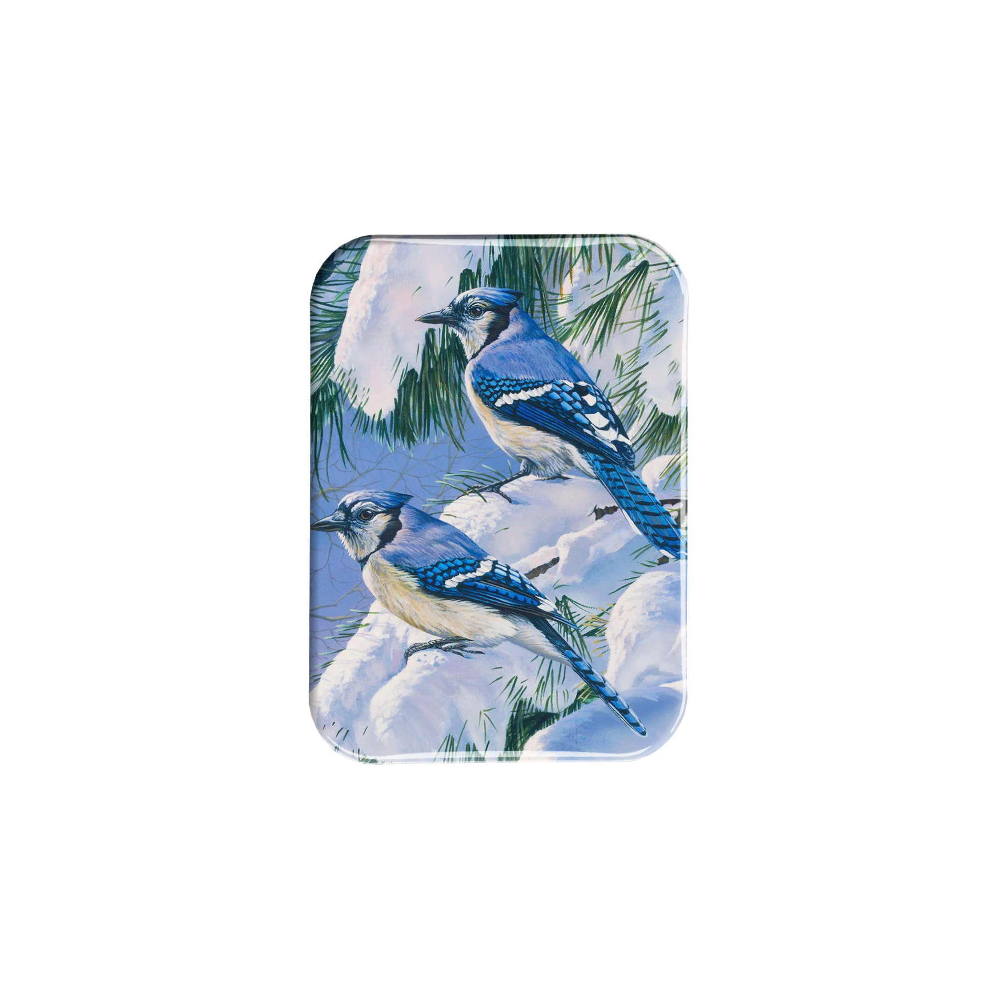 "Bluejays at Dawn" - 2.5" X 3.5" Rectangle Fridge Magnets