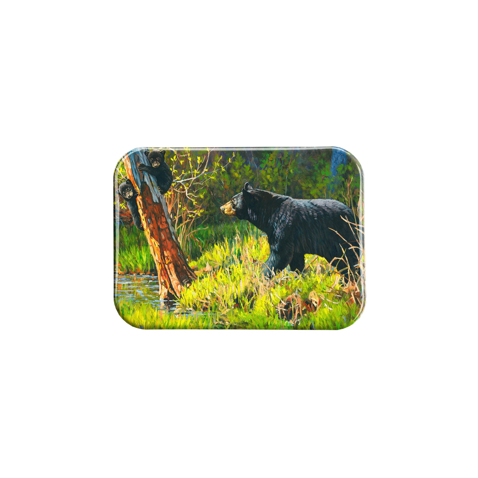 "Spring Bears" - 2.5" X 3.5" Rectangle Fridge Magnets